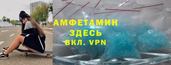 индика Абаза