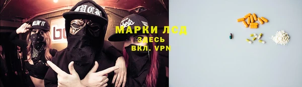 индика Абаза