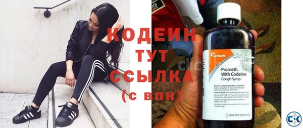 индика Абаза