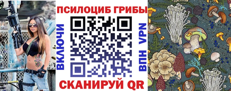 цена   Николаевск-на-Амуре  Галлюциногенные грибы Psilocybe 